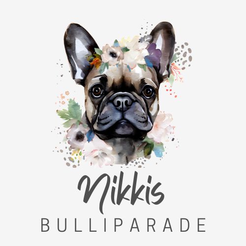 Logo Nikkis Bullyparade quadrat