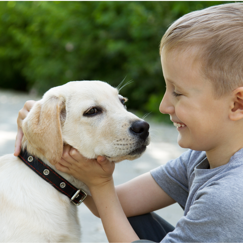 Ferienkurs Kinder Hundetraining München